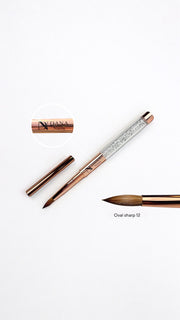 A569930A-5131-40EA-9C41-2612E241BBD2