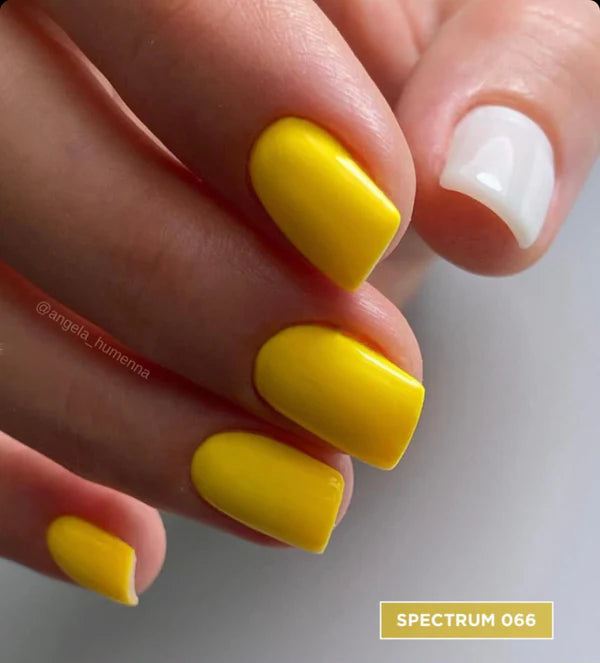 image_94fa2e35-aa57-4992-9b2c-fd778d714f70