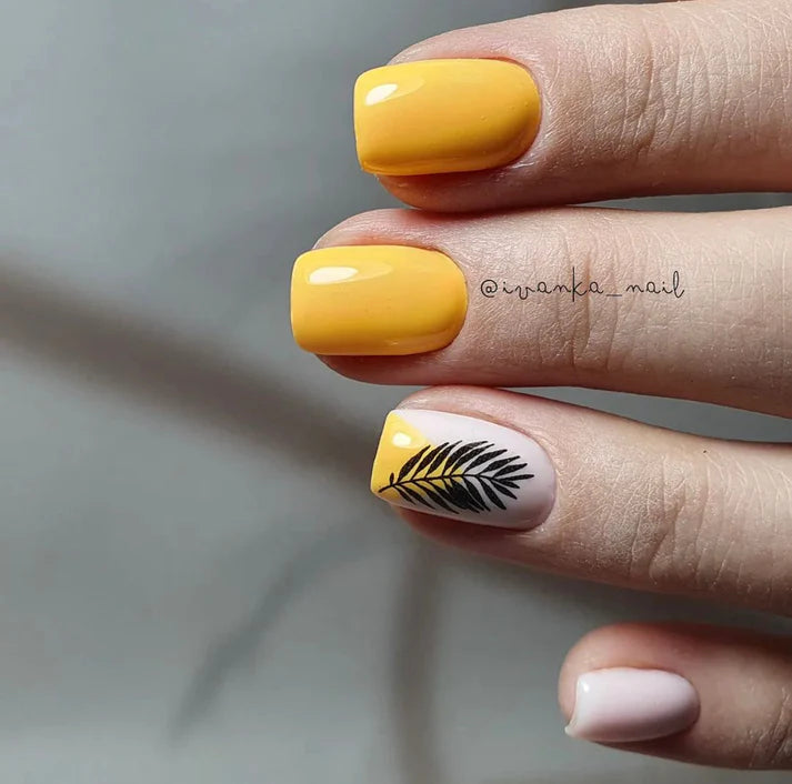 image_68429d12-7cd3-4d5d-8217-405a64a59e99