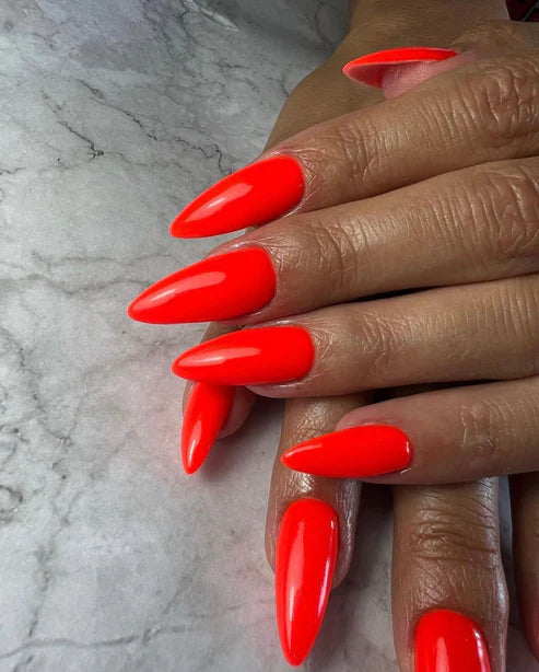 image_d429e0a6-a889-4975-870d-290c70a0e063