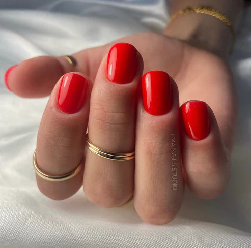 image_b65b7105-5b29-4a73-8eaa-5bcb86a26320