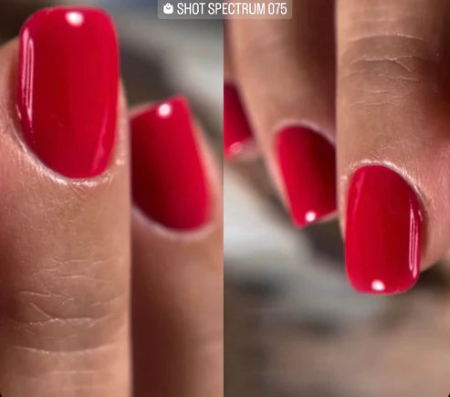 image_4ecd4c22-af18-4404-84ae-3bd1ddbd56f6