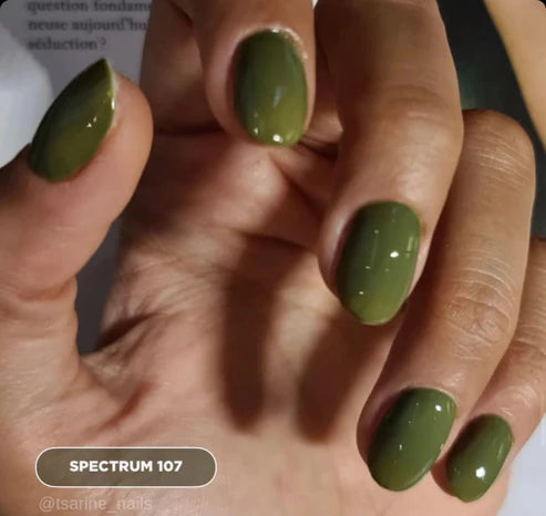 image_03065f02-edb4-4226-9c58-b3bc7ab00244