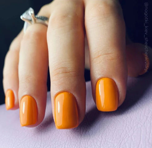 image_3ca2ef4e-efd0-4516-b1c5-e381835e0a6e