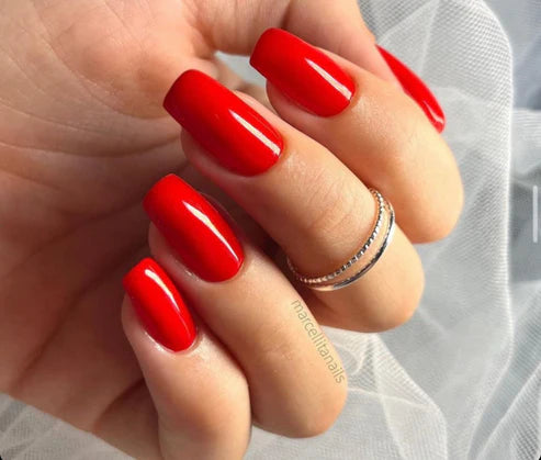 image_afc4b82f-adb7-4eb7-92d7-c9e88dd502b3