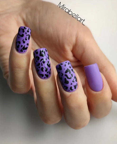 image_df71a10e-e0aa-4fae-b73e-3f3e2cde1f93