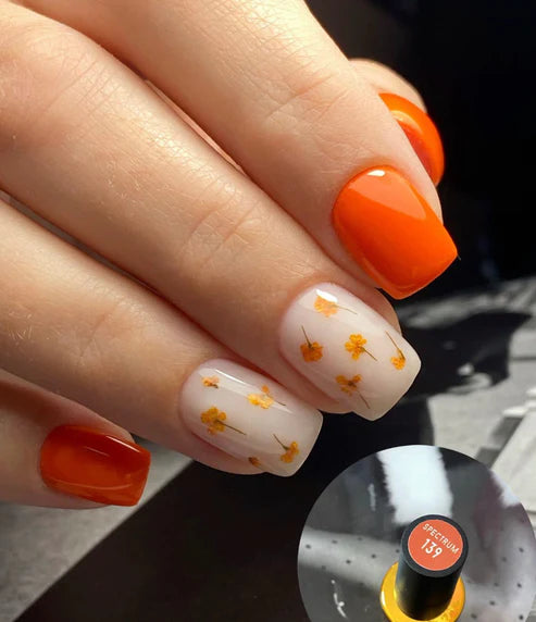 image_2792d4f8-512e-4c52-80fe-58136a37e678