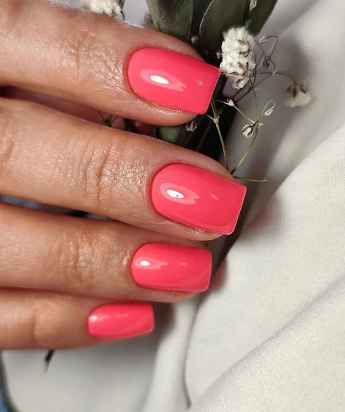 image_10a21048-2af7-4291-9f7a-f233b1e20a0c