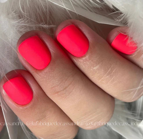 image_913bf45d-de07-4ff6-bf83-2c8c1e5c0bbe