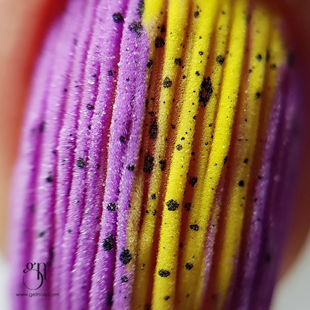 5153-Acrylic-Powder-Clear-10g-GN-jpg