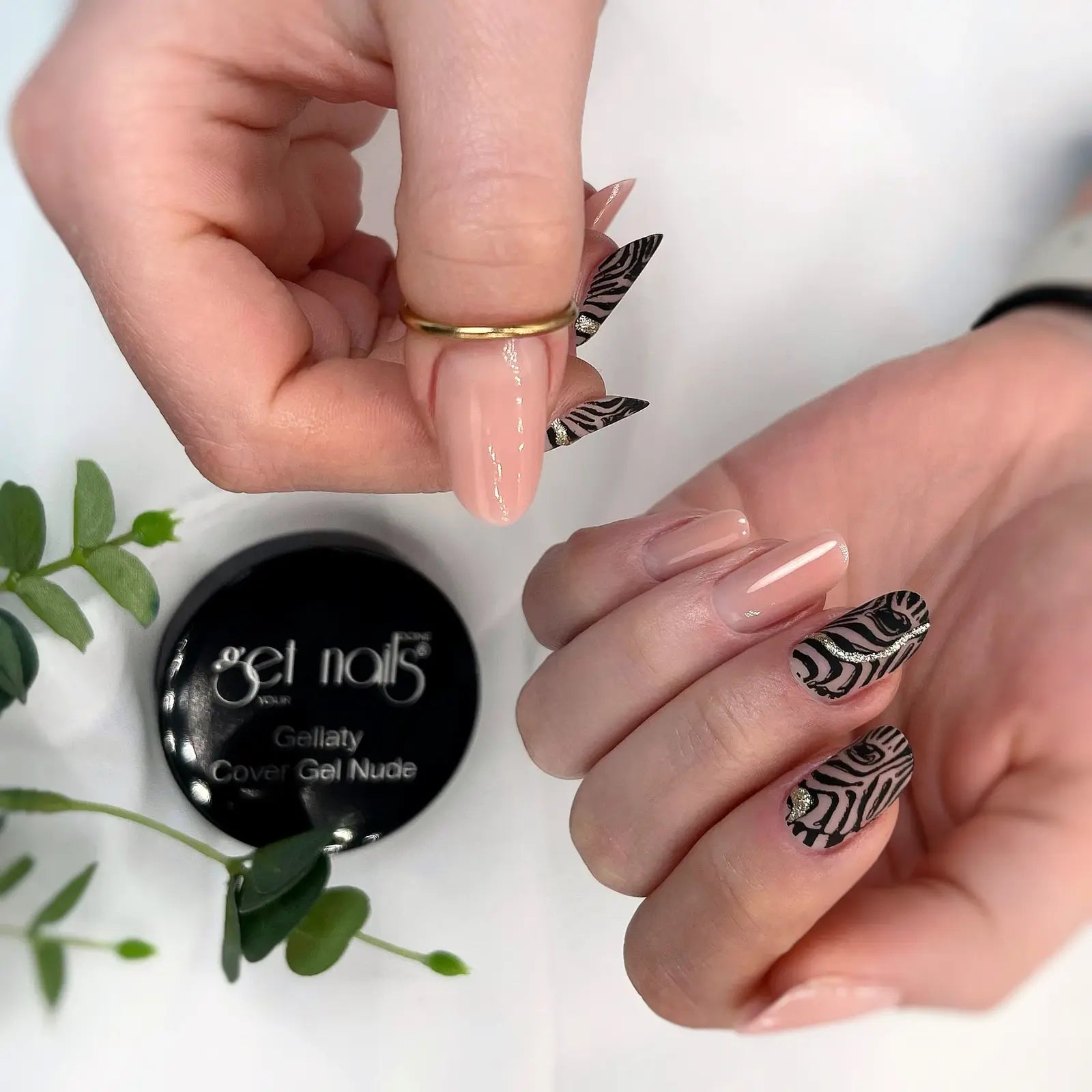 5337-Stamping-Plate-GN-1-Animal-Prints-2048×2048