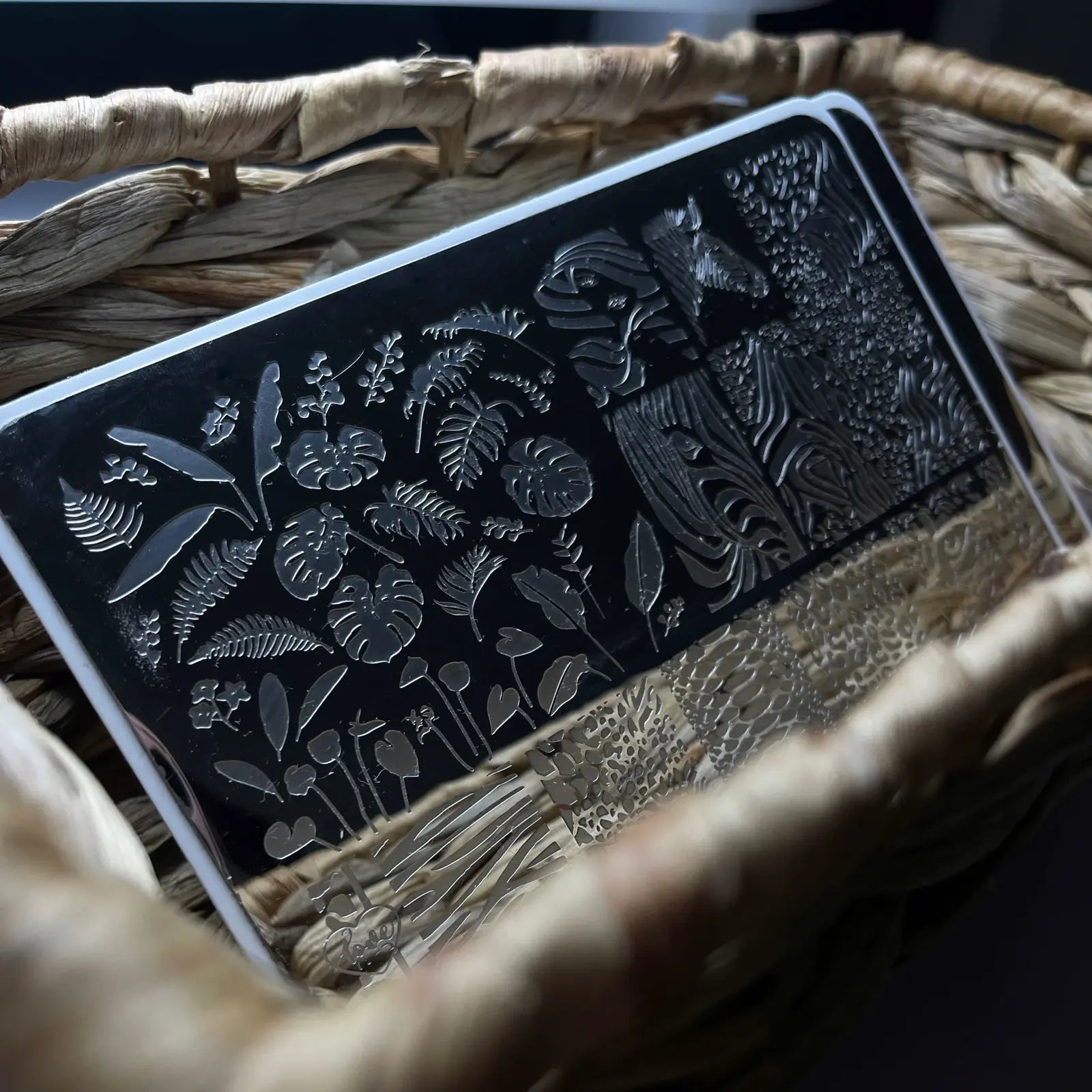 5339-Stamping-Plate-GN-2-Safari-2048&#215;2048