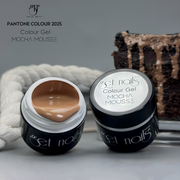 Colour-Gel-Mocha-Mousse-2