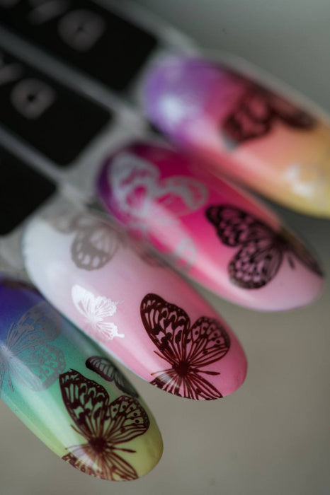 9m05qrz9r8ghe1e7t67vw3jgit18jlhz