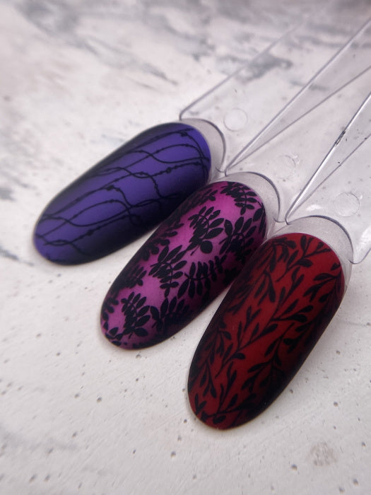 adbvzhr5q2tcweui7hzqxnxjxp8ao3yl