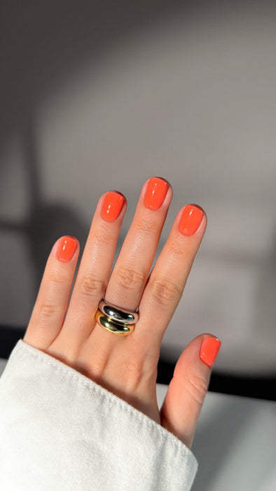 lz2cc8pvn79x6zhhu8gx475b8hy6ansv