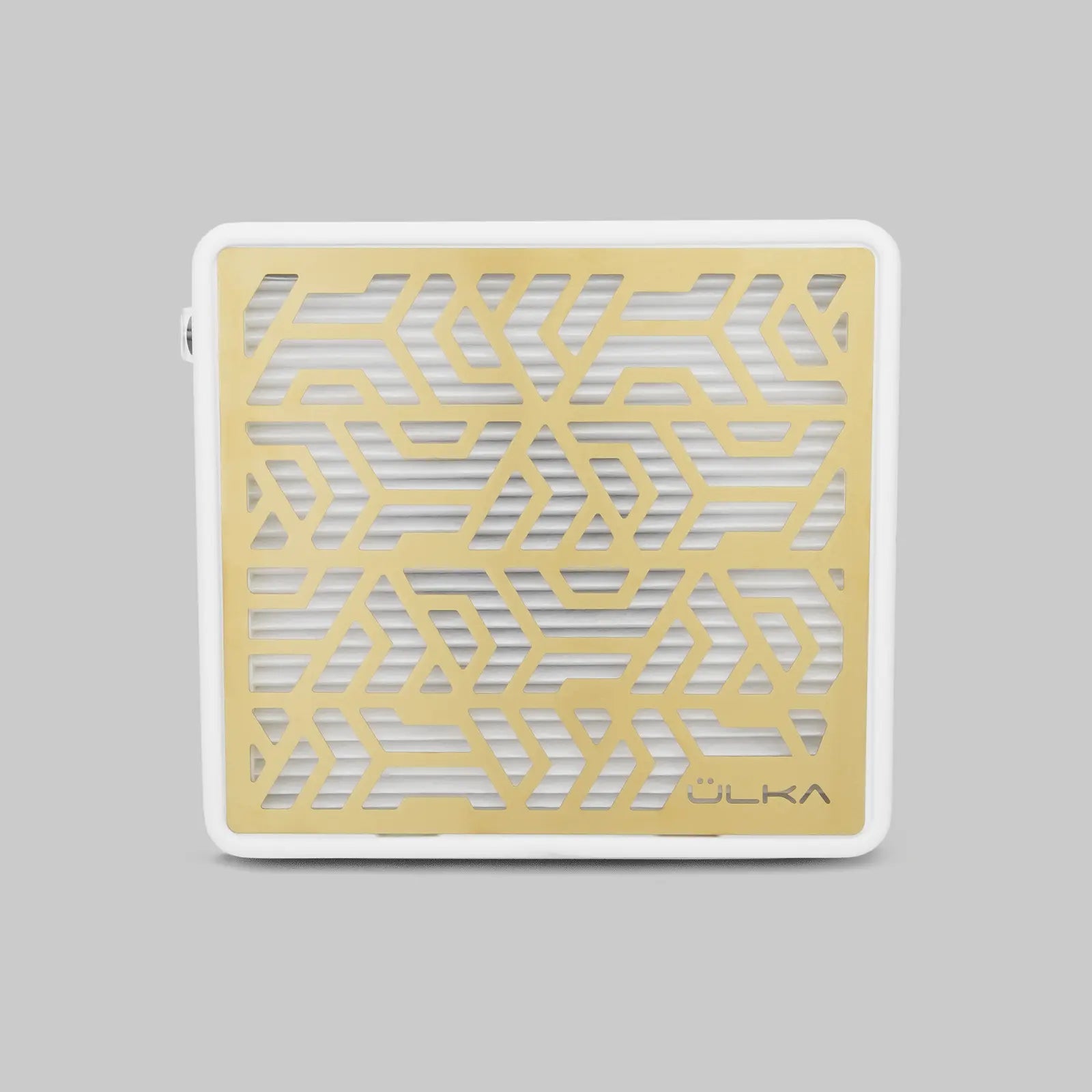 1.1 White Premium and Gold Grille (1)